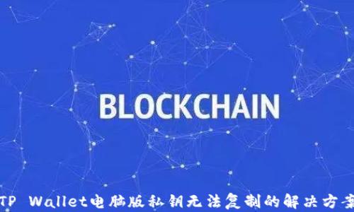 
TP Wallet电脑版私钥无法复制的解决方案