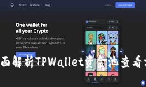 全面解析TPWallet资金池查看方法