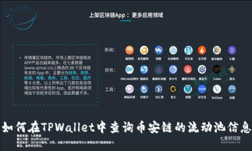 如何在TPWallet中查询币安链的流动池信息