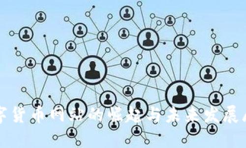 数字货币网站的崛起与未来发展展望